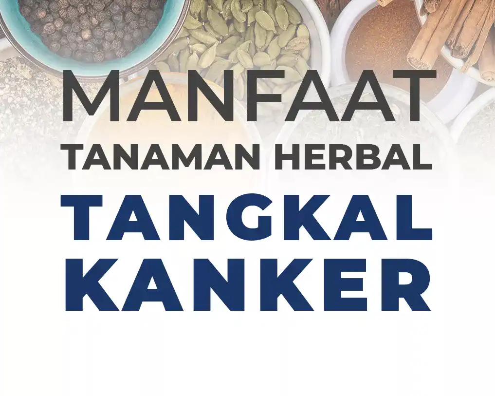 komposisi angcanglie ang cang lie